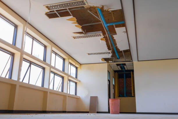 Best Mold removal after water damage  in Lake Landor, VA