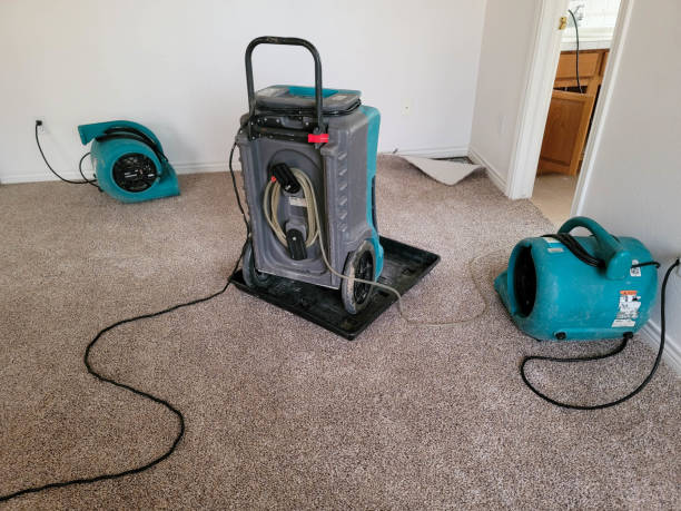 Best Flood damage cleanup  in Lake Landor, VA
