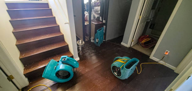 Best Flooded house restoration  in Lake Landor, VA