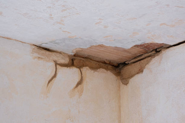 Best Water damage mitigation services  in Lake Landor, VA