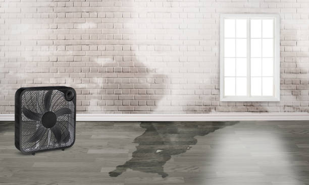 Best 24-hour water damage restoration  in Lake Landor, VA