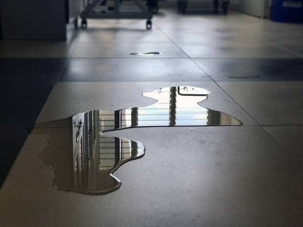 Best Water damage restoration near me  in Lake Landor, VA