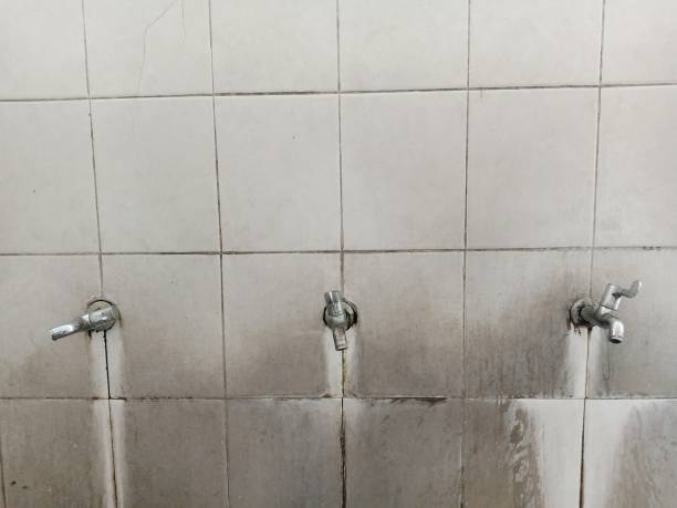 Best Carpet water damage restoration  in Lake Landor, VA