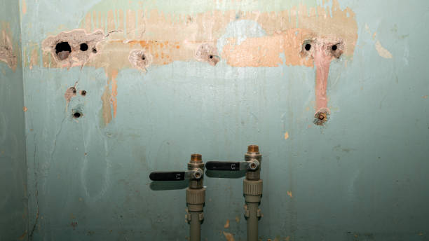 Best Sewage cleanup and water damage restoration  in Lake Landor, VA